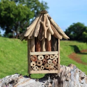 Sanctuary Driftwood Double Bee Insect Box