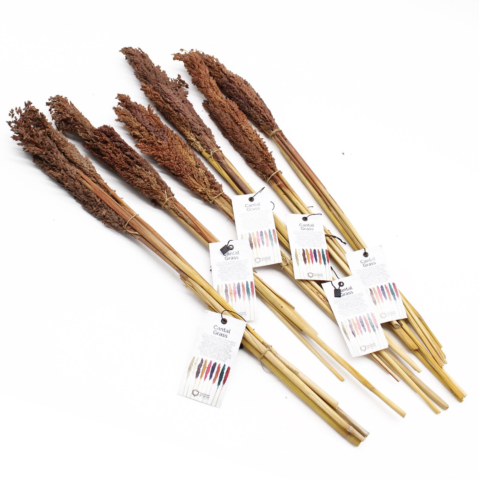 boho harmony decorative grass bunch chocolate Boho Harmony Decorative Grass Bunch Chocolate - Image 2
