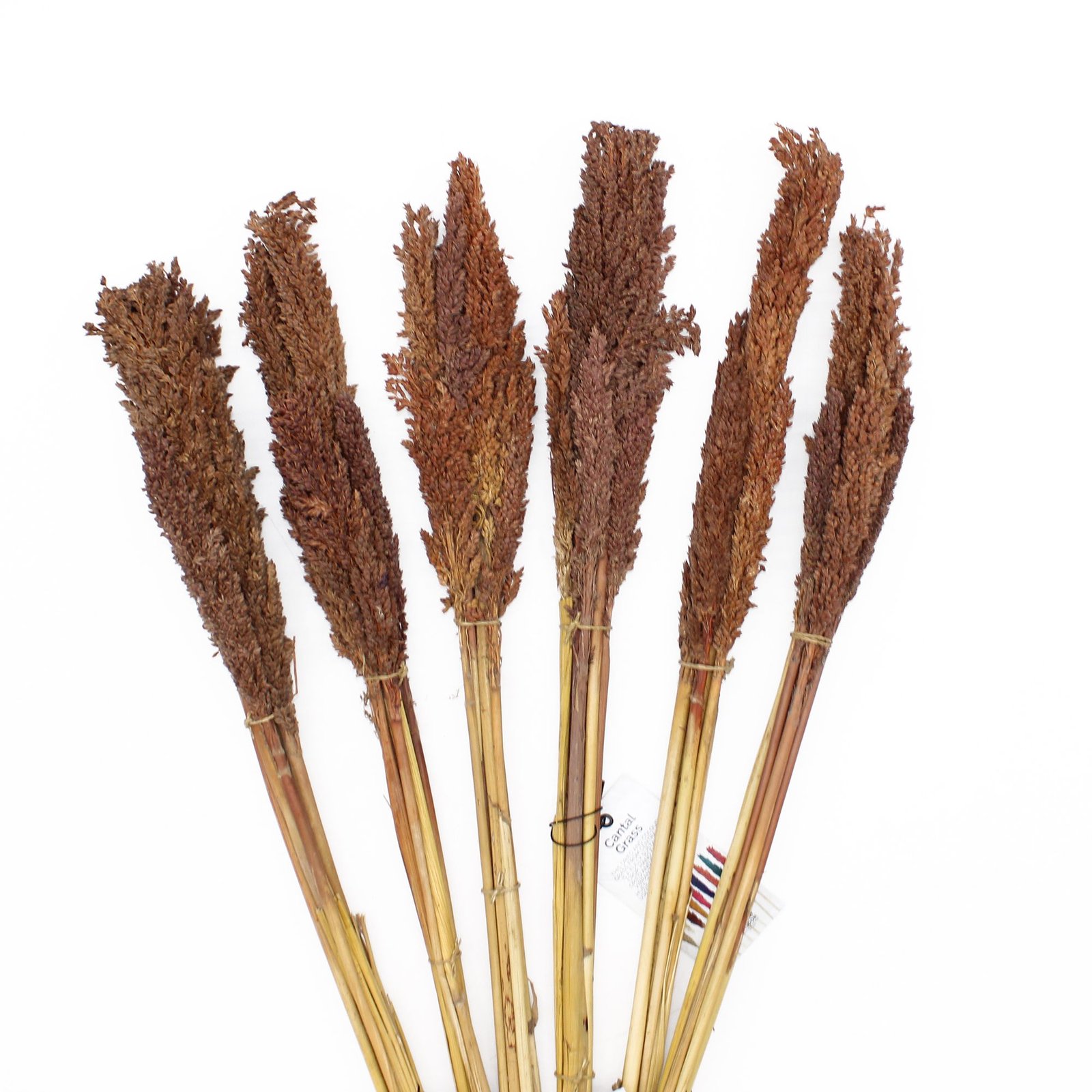 boho harmony decorative grass bunch chocolate Boho Harmony Decorative Grass Bunch Chocolate - Image 3