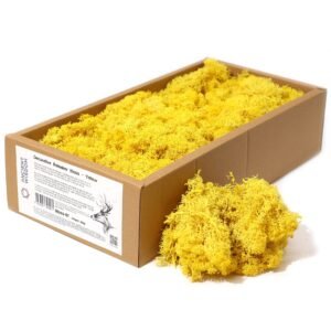 Evergreen Design Reindeer Moss Decor Yellow