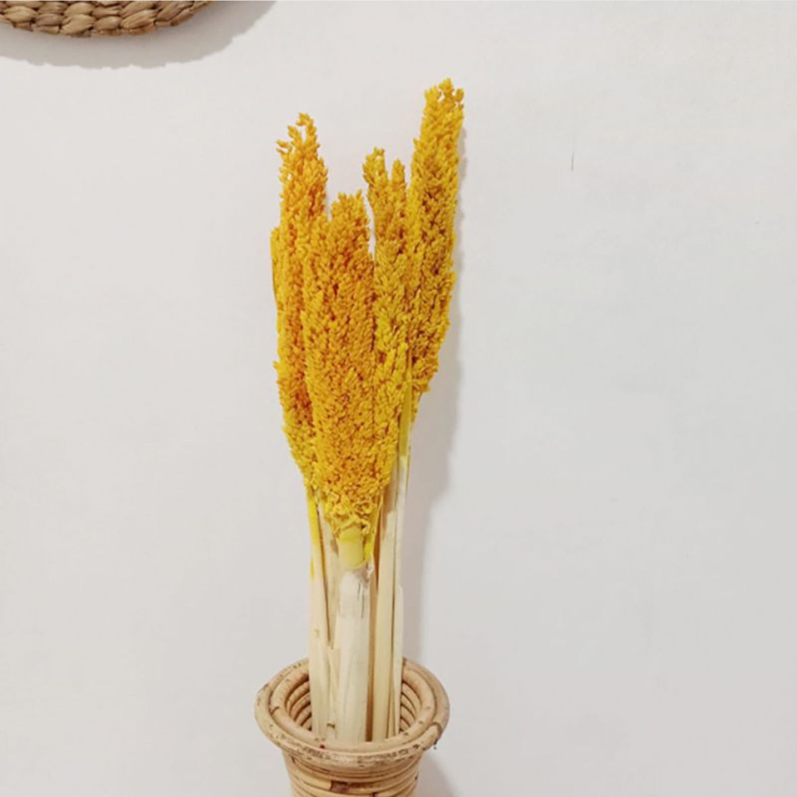 warm boho cantal grass bunch amber Warm Boho Cantal Grass Bunch Amber - Image 5