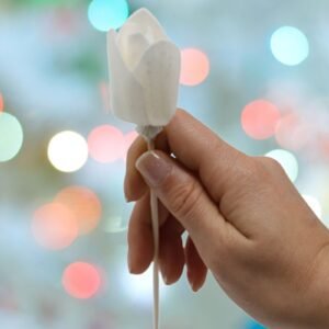 Artisan Diffuser Flower Stem Natural Tulip