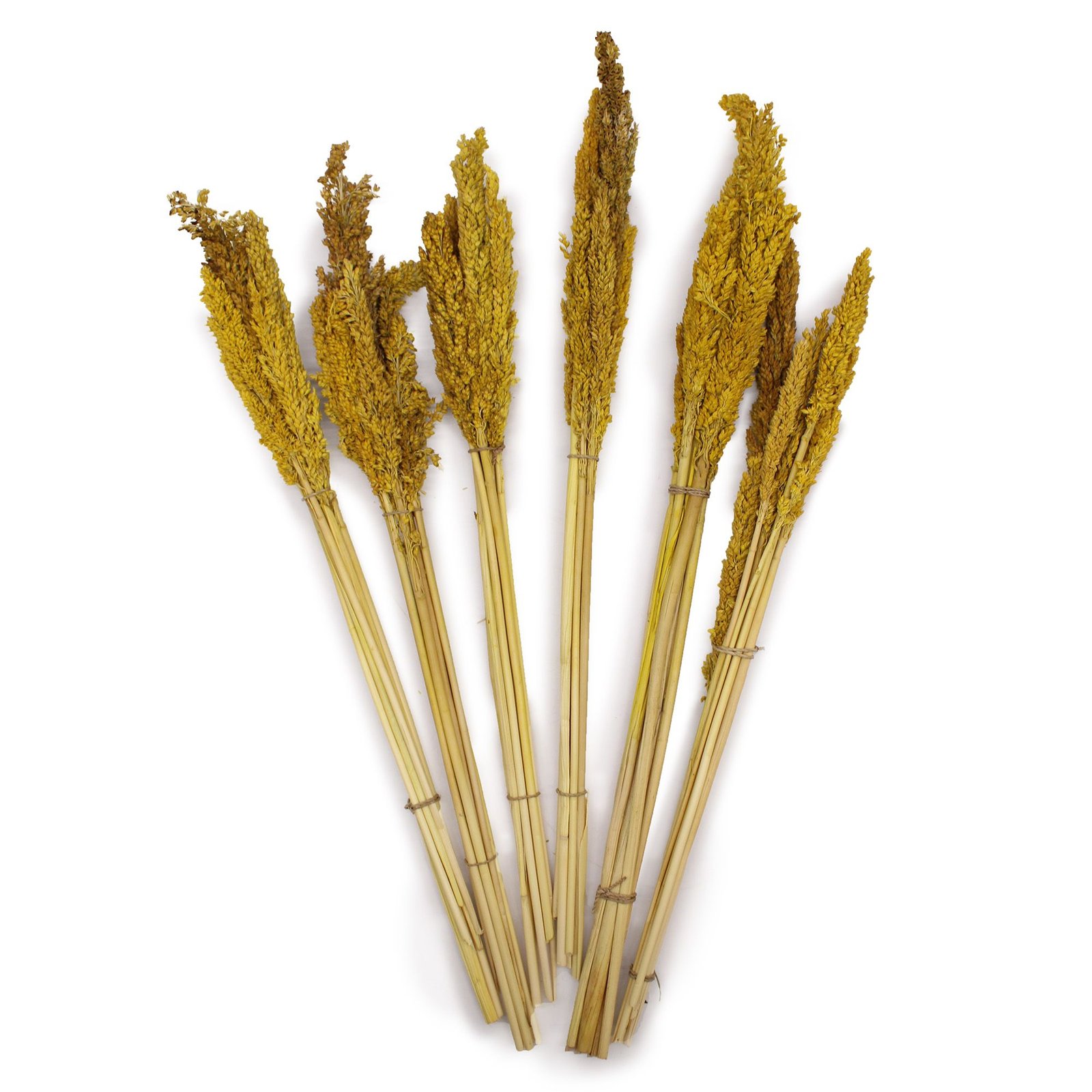 warm boho cantal grass bunch amber Warm Boho Cantal Grass Bunch Amber - Image 2