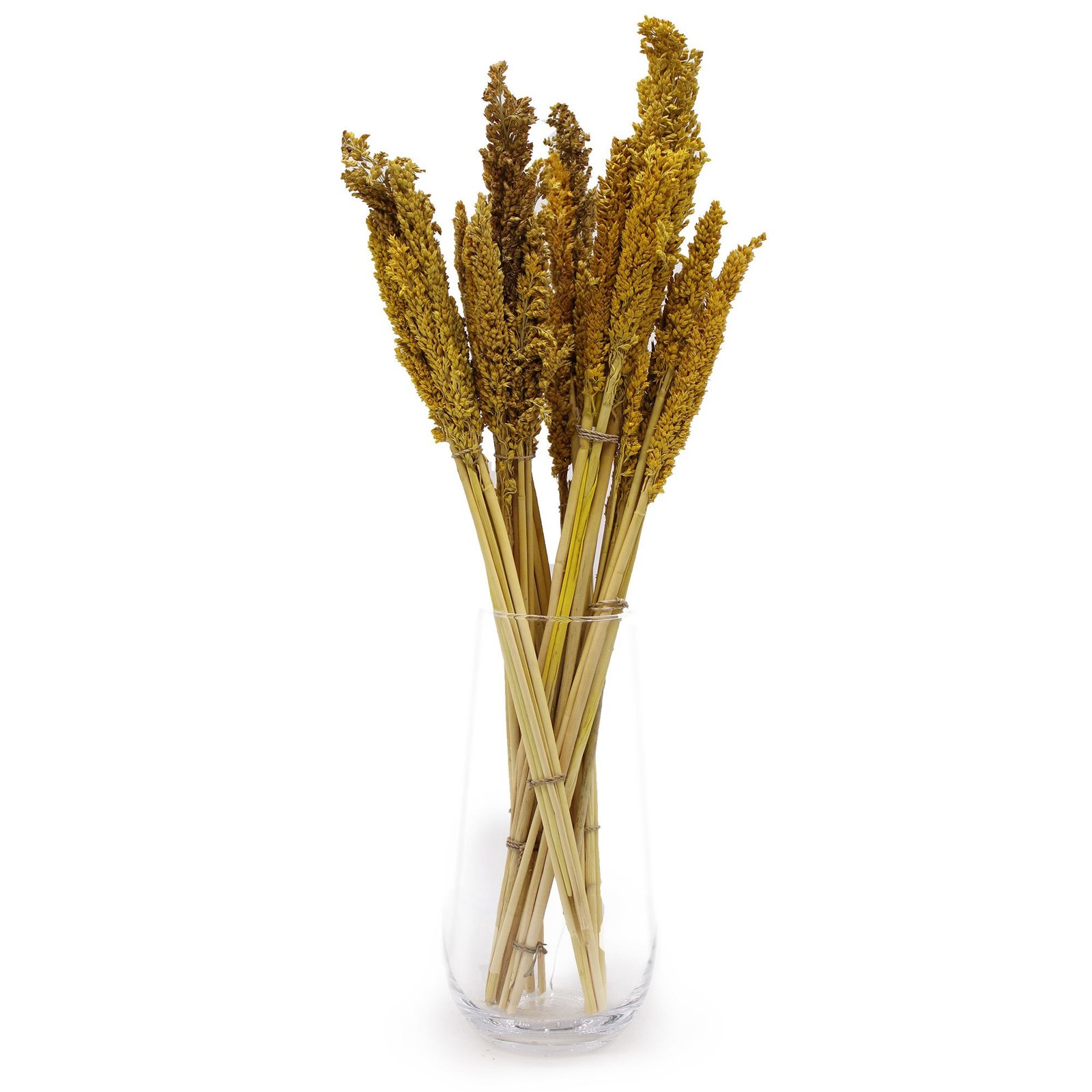 warm boho cantal grass bunch amber Warm Boho Cantal Grass Bunch Amber - Image 3