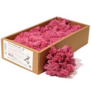 Soft Bloom Reindeer Moss Decor Pink