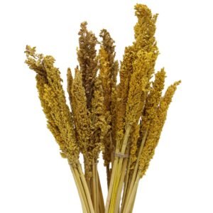 Warm Boho Cantal Grass Bunch Amber