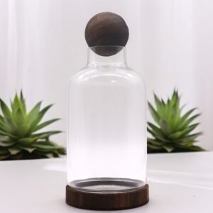 Tall Sphere-Top Terrarium Clear Glass Dark Wood