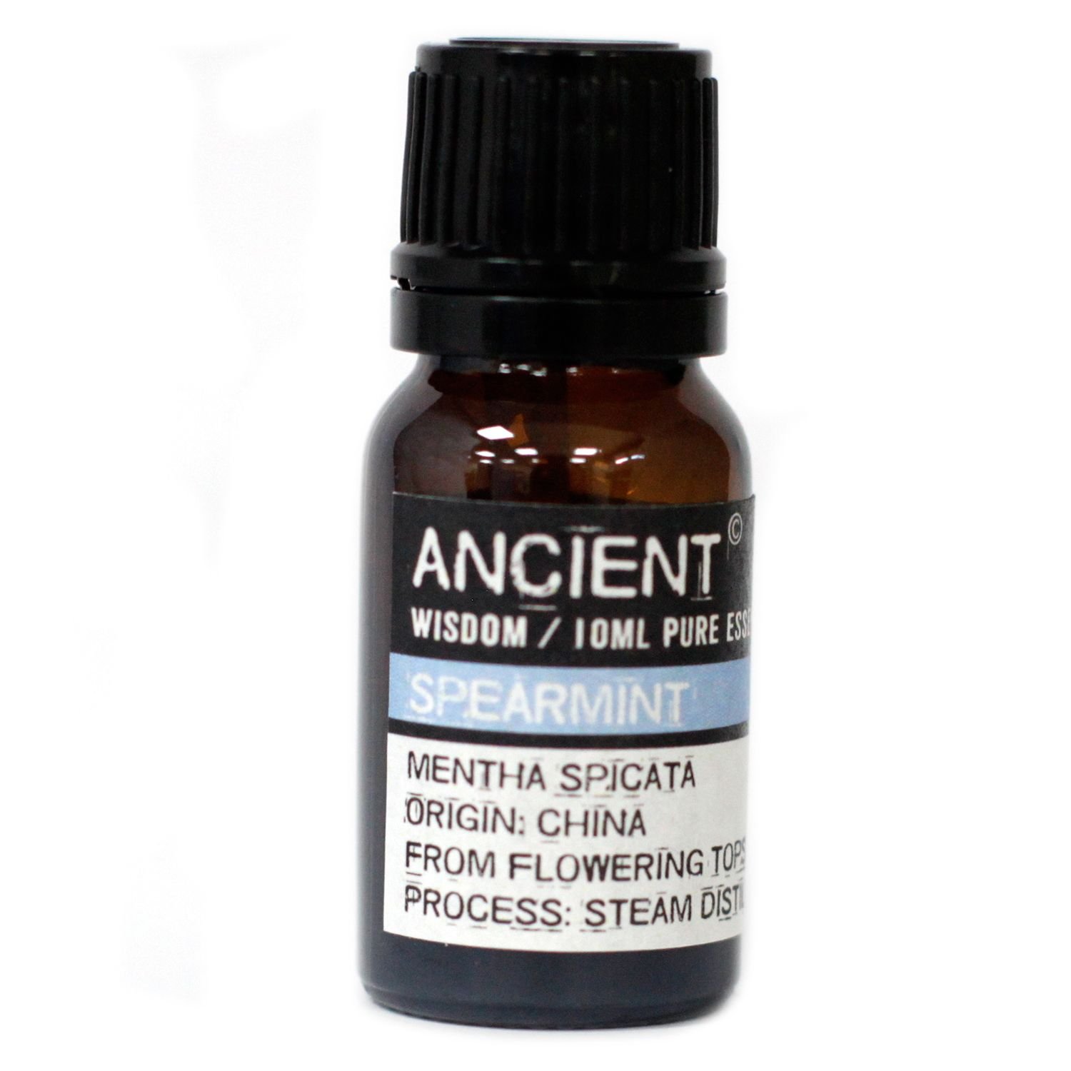 refreshing focus essential oil spearmint Refreshing Focus Essential Oil Spearmint