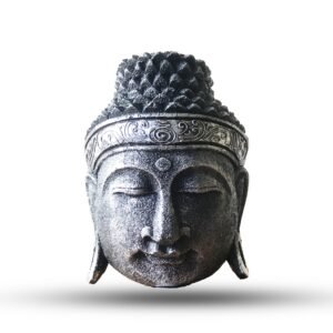 Tranquil Reflection Buddha Head Silver Albasia