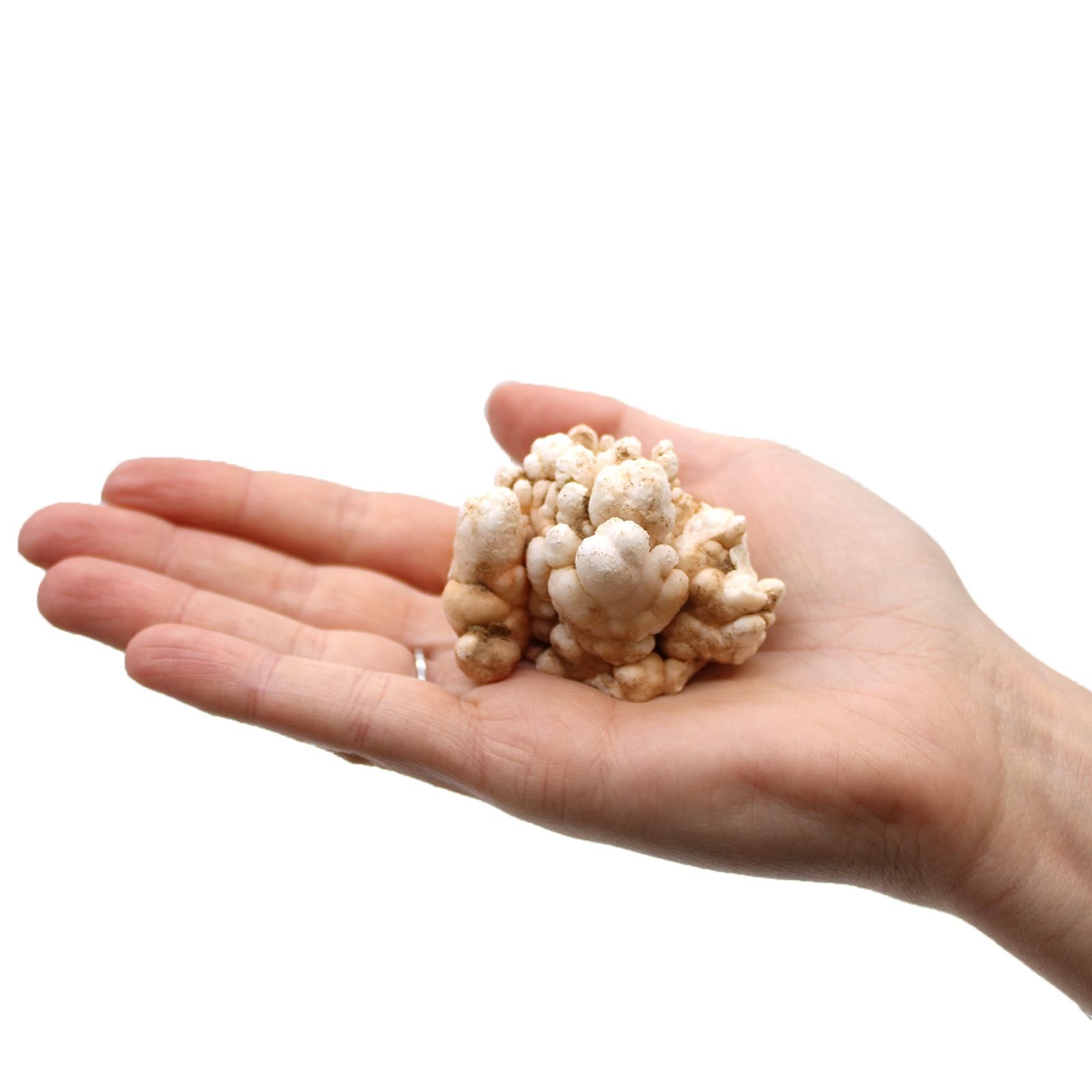 energy amplifying finger quartz points Energy Amplifying Finger Quartz Points - Image 10