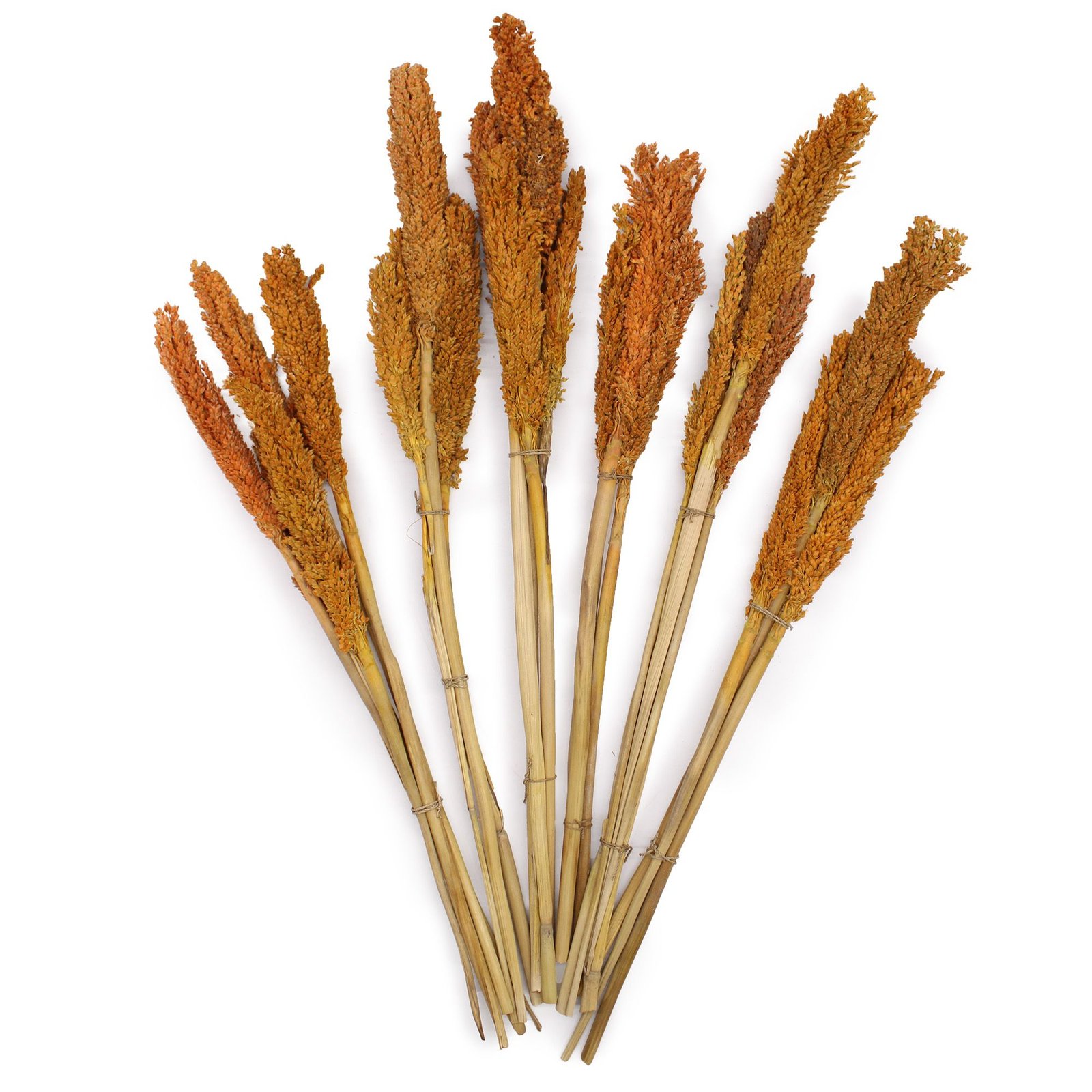 vibrant boho cantal grass bunch orange Vibrant Boho Cantal Grass Bunch Orange - Image 2