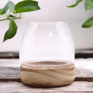 Mini Nature Glass Terrarium on Tung Wood