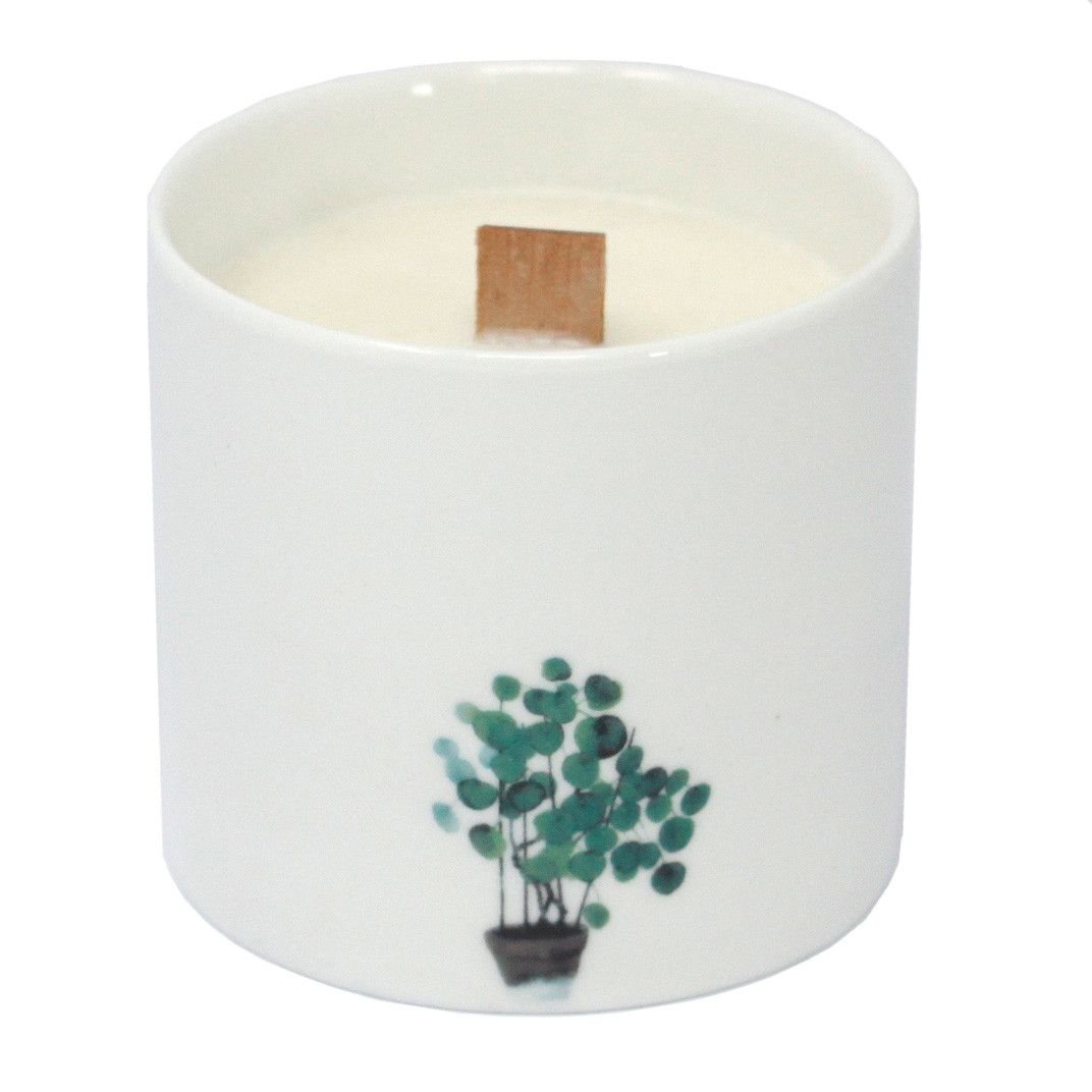 soothing botanical soy candle wild jasmine Soothing Botanical Soy Candle Wild Jasmine - Image 3