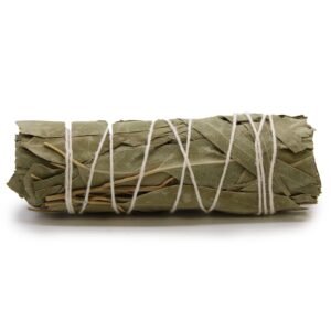 Cleansing Clarity Smudge Stick White Sage Eucalyptus