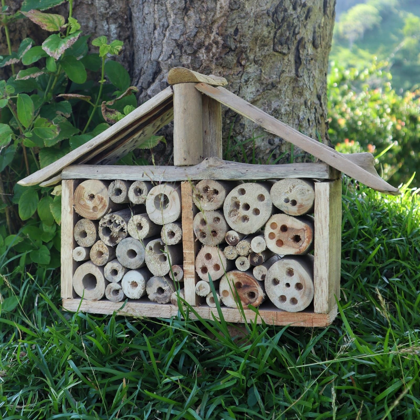 natural habitat driftwood bee insect house Natural Habitat Driftwood Bee Insect House - Image 2