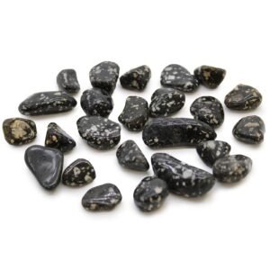 Playful Focus Tumble Stones Guinea Fowl Jasper