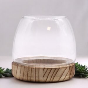 Mini Nature Display Terrarium Clear Glass Wood