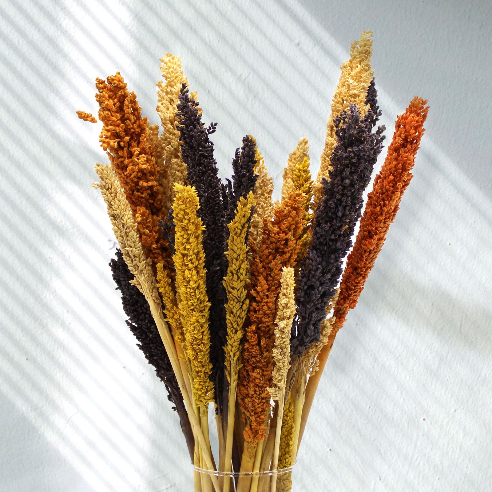 vibrant boho cantal grass bunch orange Vibrant Boho Cantal Grass Bunch Orange - Image 5