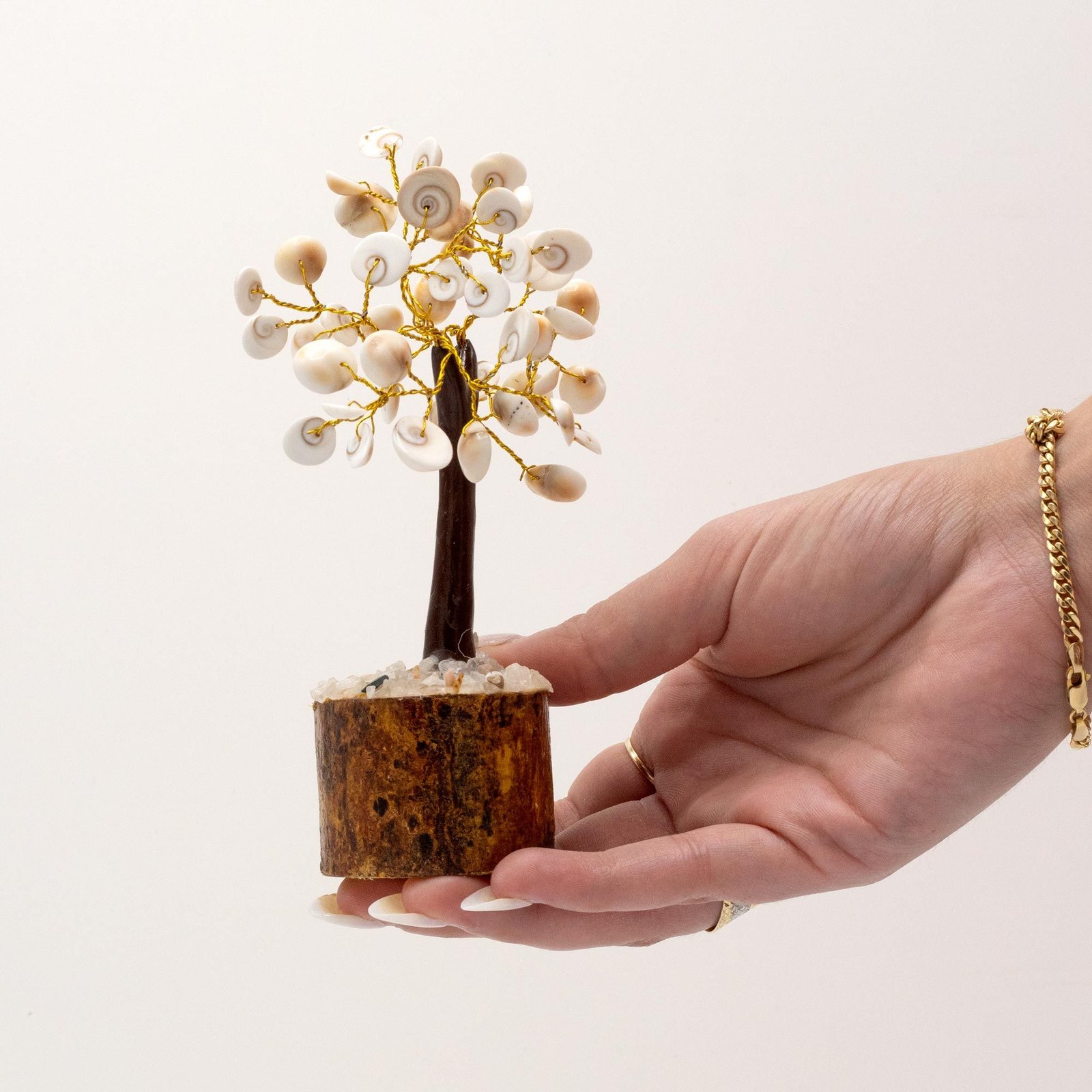 growth balance tree gomati chakra medium Growth Balance Tree Gomati Chakra Medium - Image 2