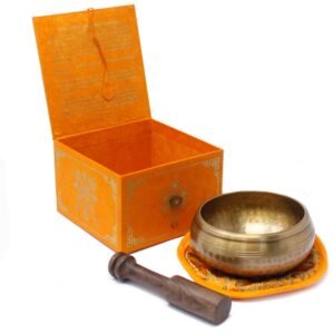 Mindful Balance Five Buddha Singing Bowl