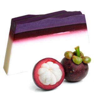 Indulgent Tropical Soap Slice Mangosteen
