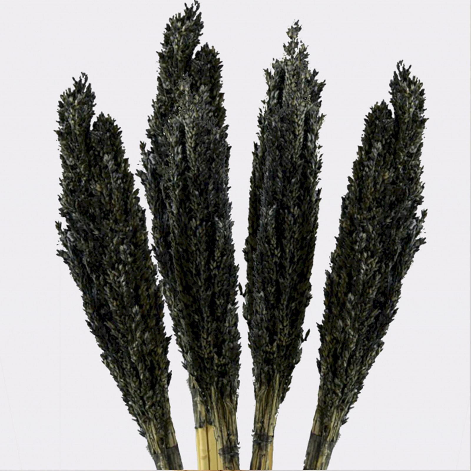 modern boho decorative grass bunch black Modern Boho Decorative Grass Bunch Black - Image 6