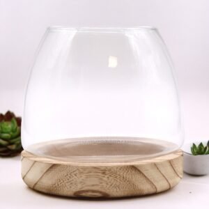 Calming Botanical Terrarium Clear Glass Wood