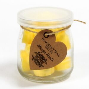 Tropical Joy Soy Wax Melt Hearts Mango