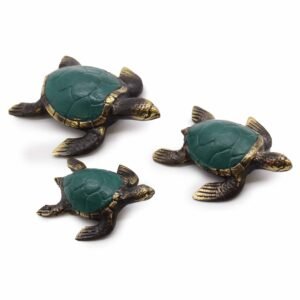 Ocean Harmony Sea Turtle Brass Trio