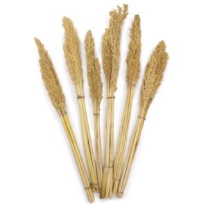 Boho Home Décor Cantal Grass Bunch Natural