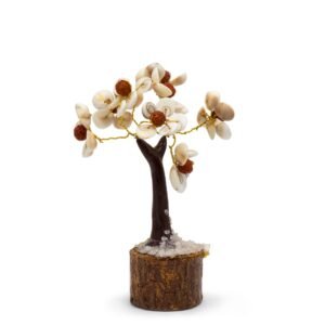 Sacred Protection Tree Gomati Chakra Rudraksha