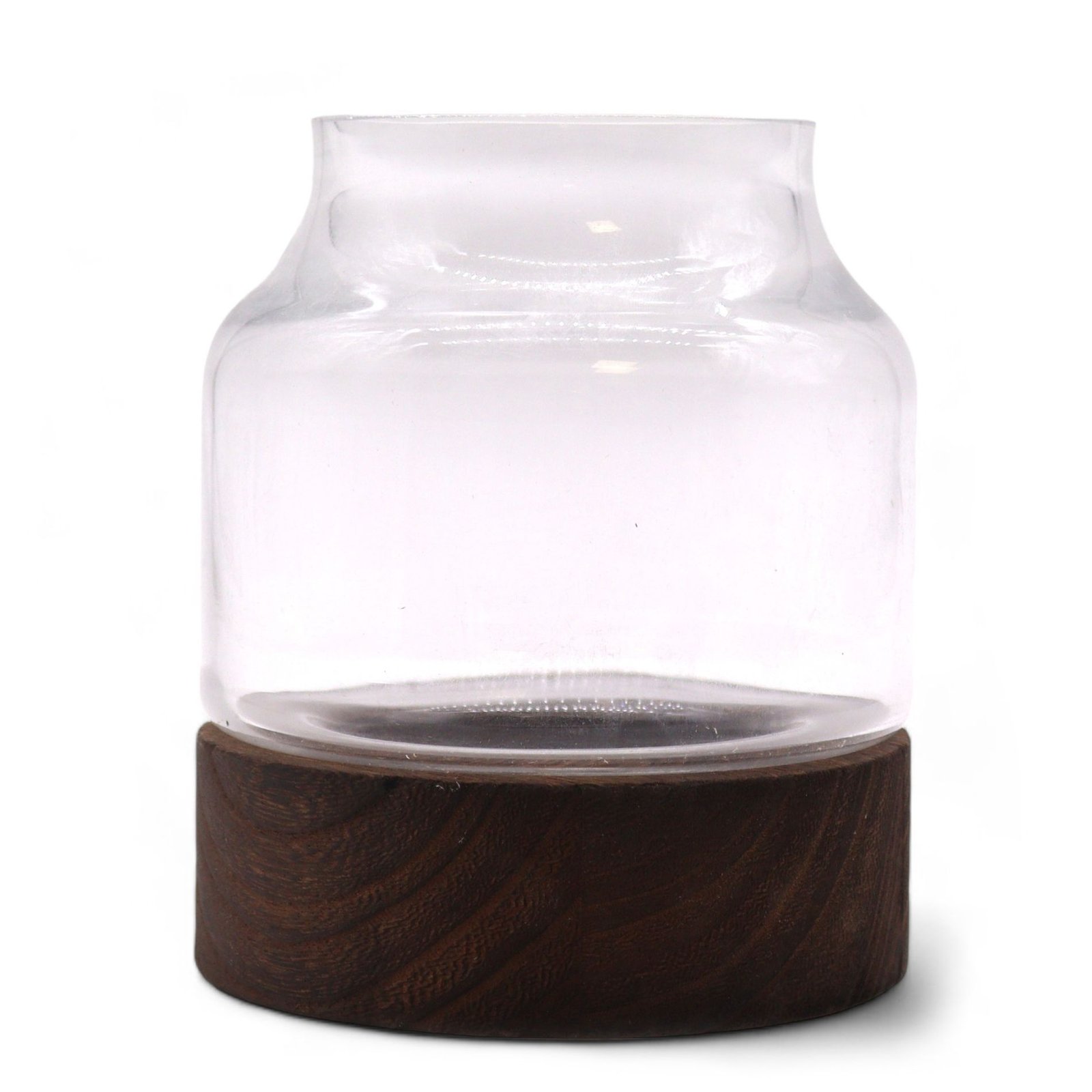 sculpted nature terrarium clear glass dark wood Sculpted Nature Terrarium Clear Glass Dark Wood - Image 2