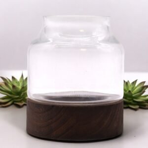 Sculpted Nature Terrarium Clear Glass Dark Wood