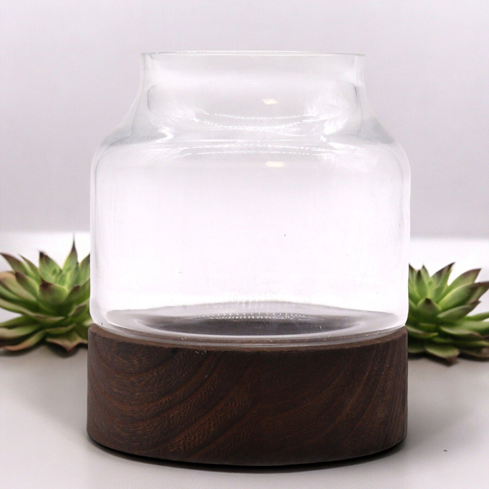 sculpted nature terrarium clear glass dark wood Sculpted Nature Terrarium Clear Glass Dark Wood