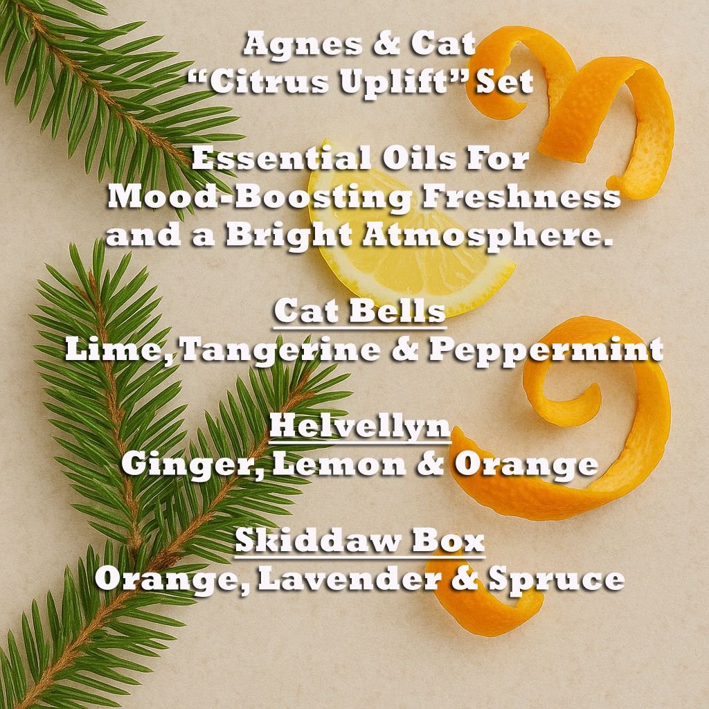 uplifting citrus essential oil blend trio Uplifting Citrus Essential Oil Blend Trio - Image 5