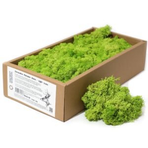Soft Meadow Reindeer Moss Light Grass
