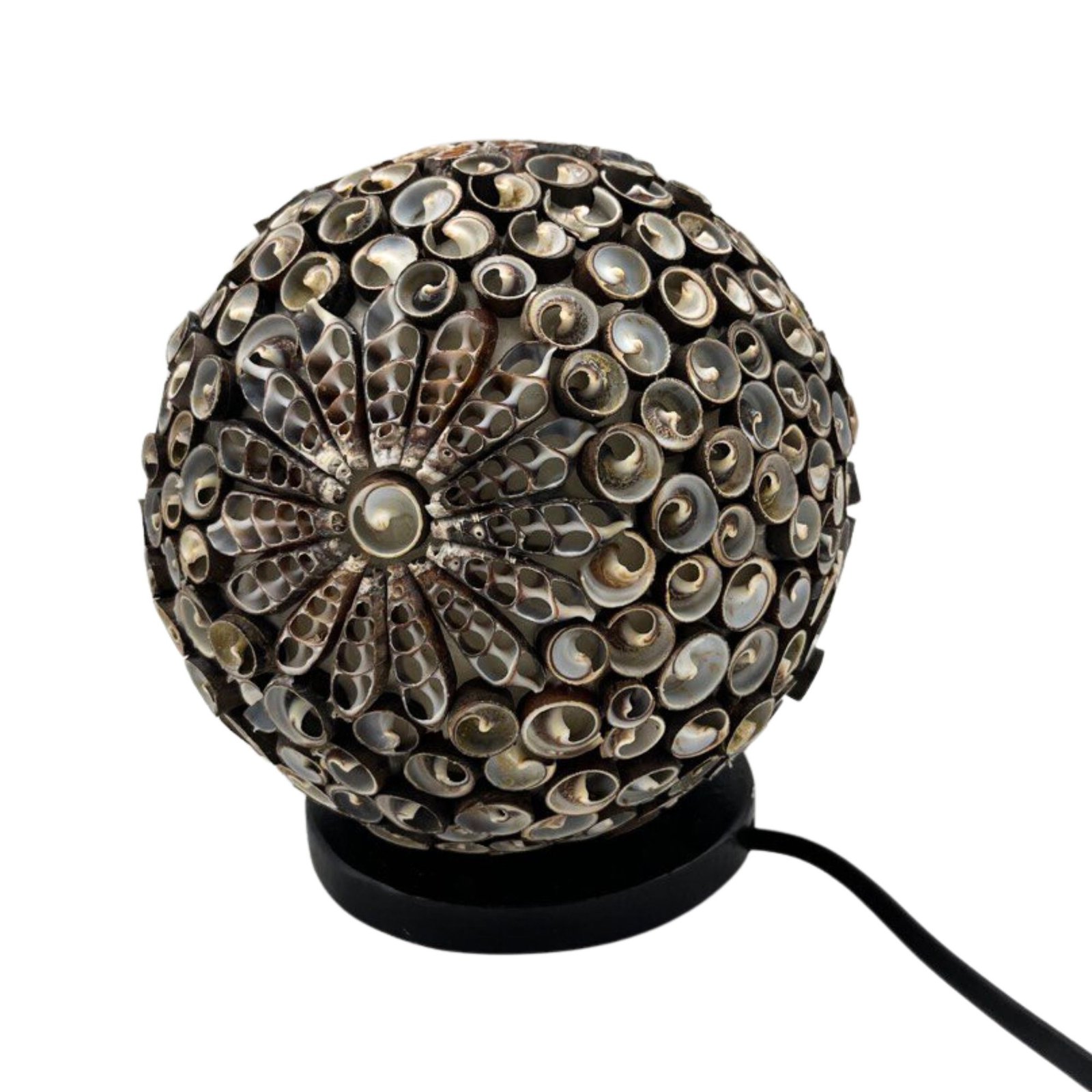 soft coastal glow seashell globe lamp Soft Coastal Glow Seashell Globe Lamp - Image 2