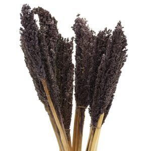 Modern Boho Decorative Grass Bunch Black