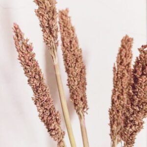 Earthy Boho Cantal Grass Bunch Rust
