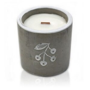 Crisp Night Concrete Soy Candle Juniper Gin