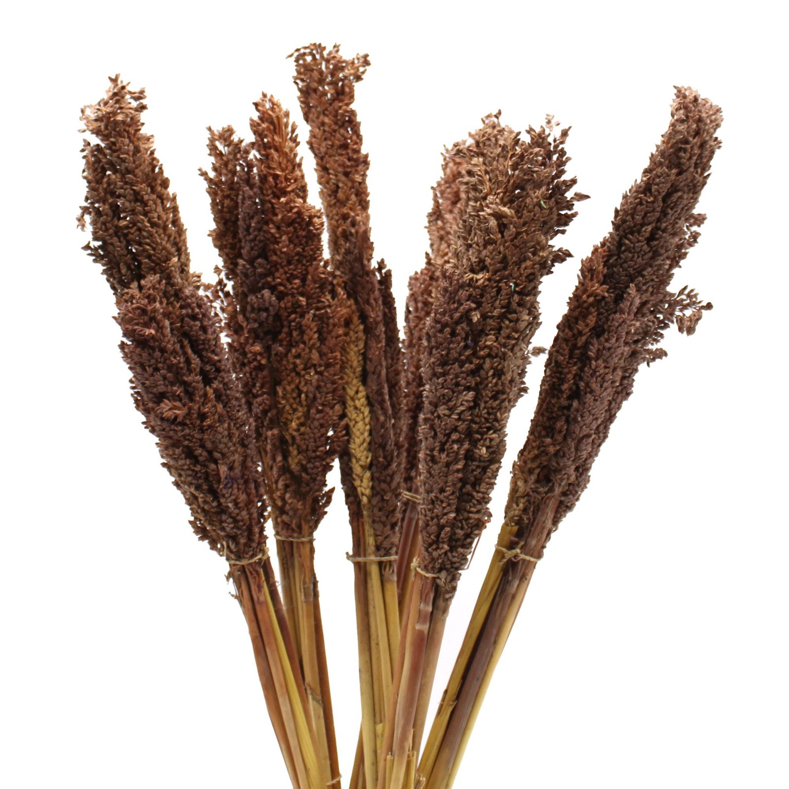 boho harmony decorative grass bunch chocolate Boho Harmony Decorative Grass Bunch Chocolate