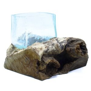 Textured Terrarium Glass Tank on Natural Wood