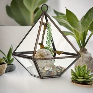 Serene Greenery Glass Diamond Terrarium
