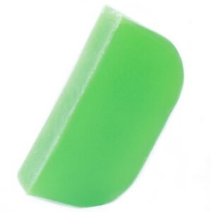 Revitalising Scalp Solid Shampoo Thyme Mint