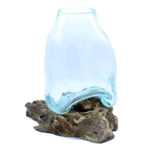 Statement Terrarium Glass Vase on Natural Wood