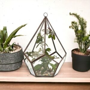 Tranquil Garden Glass Pyramid Terrarium