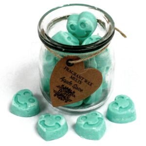 Warm Hearth Soy Wax Melts Apple Spice