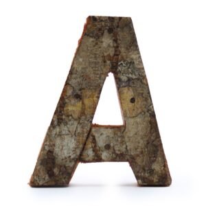Rustic Natural Bark Decorative Letter A