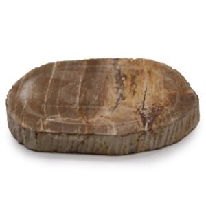 Earthbound Calm Soap Dish Petrified Wood