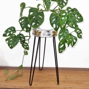 Elevated Plant Stand Albasia Wood Whitewash